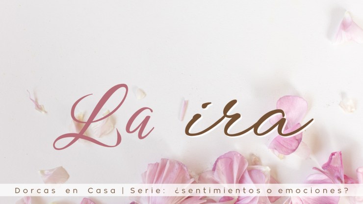 La ira